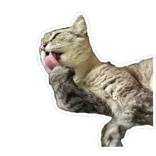 🫥 emoji Чипулик Telegram sticker 18 of 18