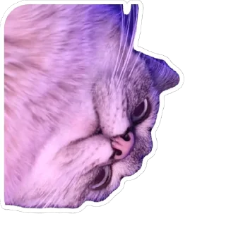 🫥 emoji Чипулик Telegram sticker 5 of 18