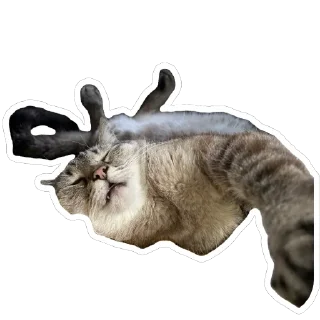 🫥 emoji Чипулик Telegram sticker 15 of 18