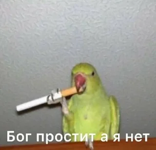 👿 emoji блять куда я жмал Telegram sticker 10 of 120