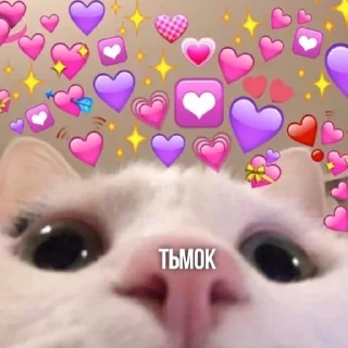 😘 emoji Я тебя трахну 💖💖💖 @nudhope Telegram sticker 9 of 110