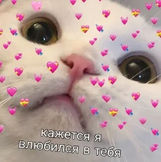 😳 emoji Я тебя трахну 💖💖💖 @nudhope Telegram sticker 14 of 110