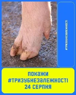 🇺🇦 emoji Слава России Telegram sticker 15 of 89