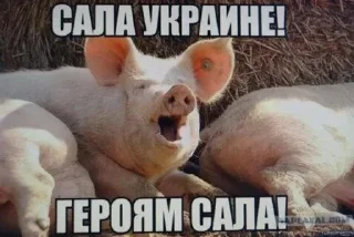 🥩 emoji Слава России Telegram sticker 11 of 89