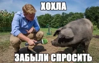 🐖 emoji Слава России Telegram sticker 23 of 89