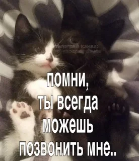 🤕 emoji стики от @fruktokhranilishte Telegram sticker 20 of 114