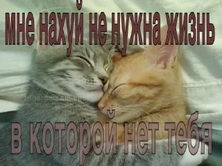 😞 emoji стики от @fruktokhranilishte Telegram sticker 7 of 114