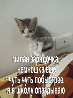 😭 emoji стики от @fruktokhranilishte Telegram sticker 8 of 114