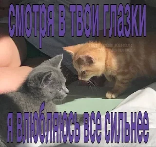 🤤 emoji стики от @fruktokhranilishte Telegram sticker 18 of 114