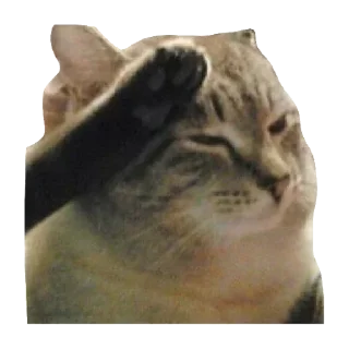 👨‍✈️ emoji Твой муд Telegram sticker 14 of 58
