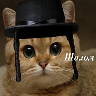 💰 emoji Твой муд Telegram sticker 12 of 58