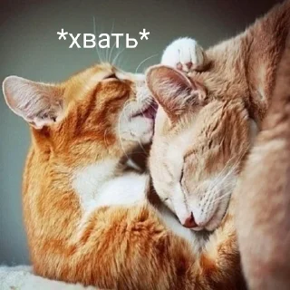 😘 emoji Твой муд Telegram sticker 10 of 58