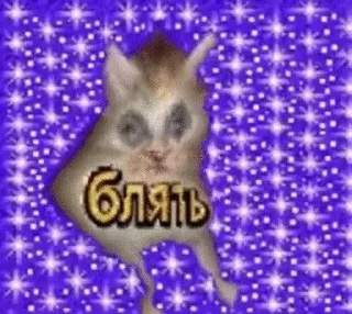 🌟 emoji Котьк Telegram sticker 17 of 79