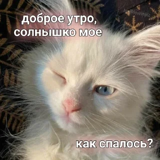 💗 emoji Солнце♡ Telegram sticker 8 of 15
