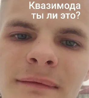 🤢 emoji ДайВинчик Telegram sticker 23 of 42