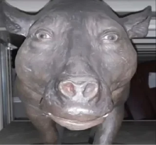 🐷 emoji Омагад Ватафак Telegram sticker 10 of 119