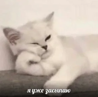 🥱 emoji люблю♡ Telegram sticker 15 of 24