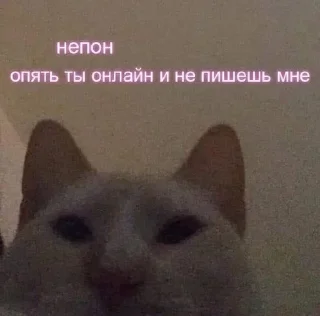 😣 emoji люблю♡ Telegram sticker 16 of 24
