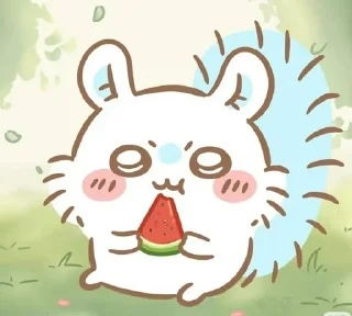 🍉 emoji Chiikawa @fanimee Telegram sticker 23 of 106