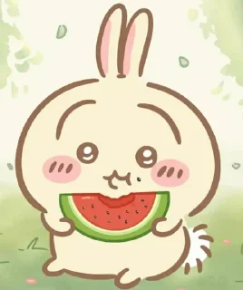 🍉 emoji Chiikawa @fanimee Telegram sticker 22 of 106
