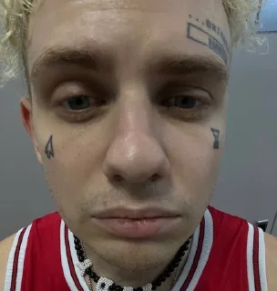 🤨 emoji лида навсегда Telegram sticker 23 of 31