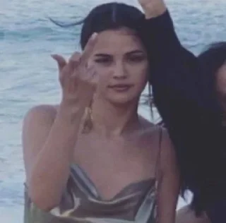 🖕 emoji selenator💗 Telegram sticker 18 of 89