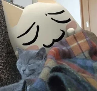 💤 emoji Toro cat Telegram sticker 1 of 45