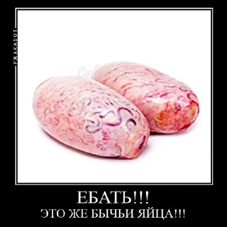 🥚 emoji чемпион 2! Telegram sticker 11 of 58