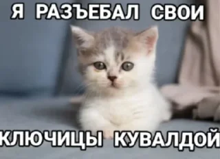 🌟 emoji Пися Telegram sticker 10 of 26
