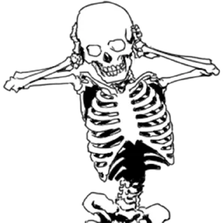 🤤 emoji Skeleton @stickersb2b Telegram sticker 17 of 27