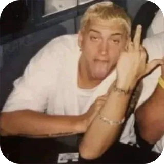 🖕 emoji Eminem 💋 Telegram sticker 17 of 21