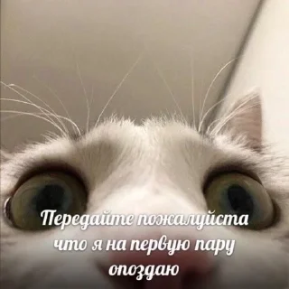 Sticker from Няшечки
