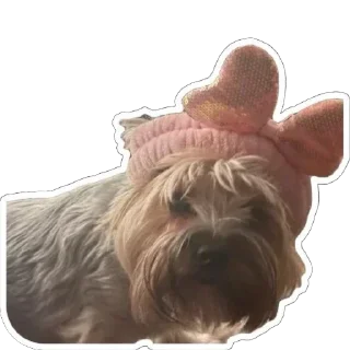 🫥 emoji Джо-Джо Telegram sticker 11 of 13