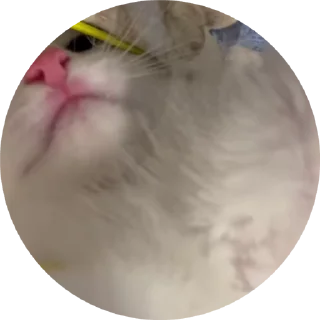 💋 emoji tisha Telegram sticker 8 of 19