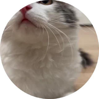 😶 emoji tisha Telegram sticker 13 of 19