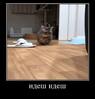 😊 emoji кокоа Telegram sticker 15 of 50