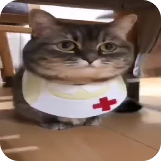 🏥 emoji КОКОА Telegram sticker 13 of 17