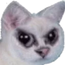 😡 emoji Всратыши Telegram sticker 17 of 37