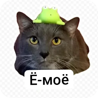 Sticker from Школа котиков
