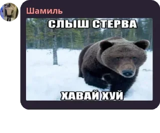 😈 emoji чат котиков¿ Telegram sticker 6 of 51
