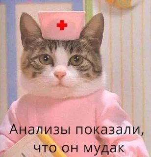😆 emoji Пуськи лапуськи Telegram sticker 6 of 56