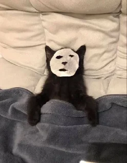 😴 emoji Пуськи лапуськи Telegram sticker 23 of 56