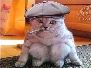 🚬 emoji Пуськи лапуськи Telegram sticker 12 of 56