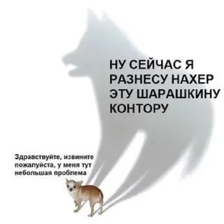 🤡 emoji Шарага ебаная Telegram sticker 12 of 40