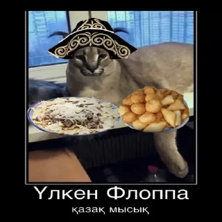🐱 emoji Учим казахский вместе с Ди Telegram sticker 14 of 25