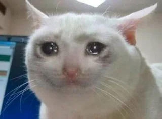 😭 emoji Всякая хуйня Telegram sticker 7 of 28