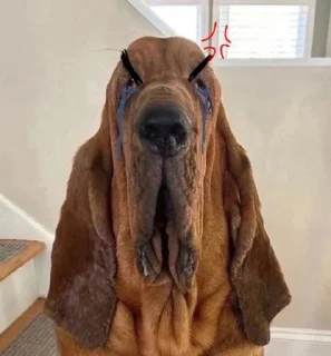 🤬 emoji сапака от @cmhellu Telegram sticker 5 of 11
