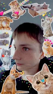 🌟 emoji а саня пидор Telegram sticker 17 of 23