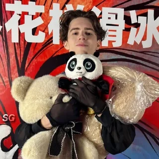 🐼 emoji mishaidorov || @shaidorovgroup Telegram sticker 16 of 59