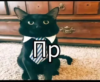 👋 emoji Котаке Telegram sticker 15 of 57